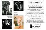 Galerie Dolmen
